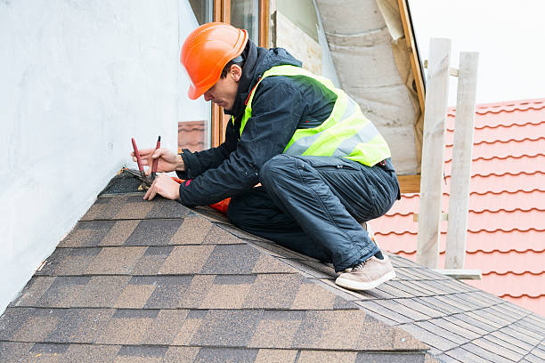 Best Metal Roofing Contractor  in Sparta, MI
